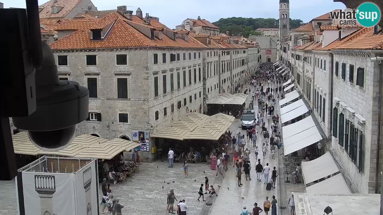 Livecam Dubrovnik Stradun