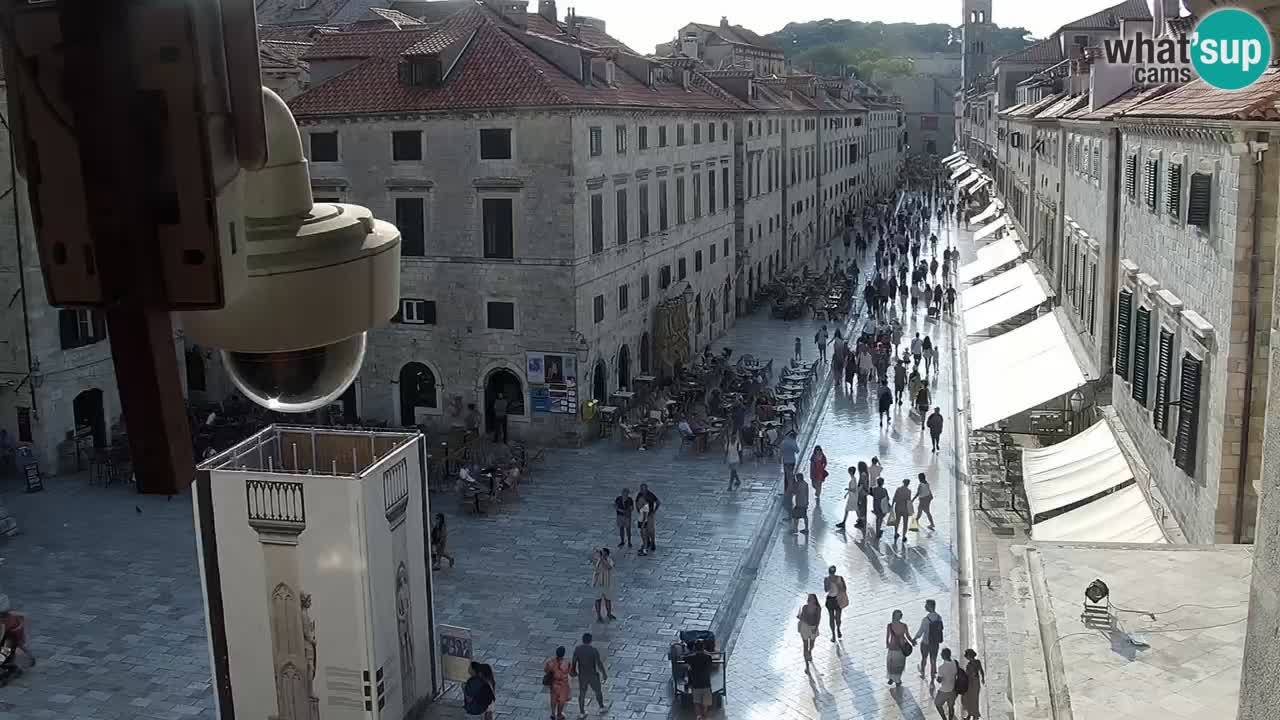 Livecam Dubrovnik Stradun