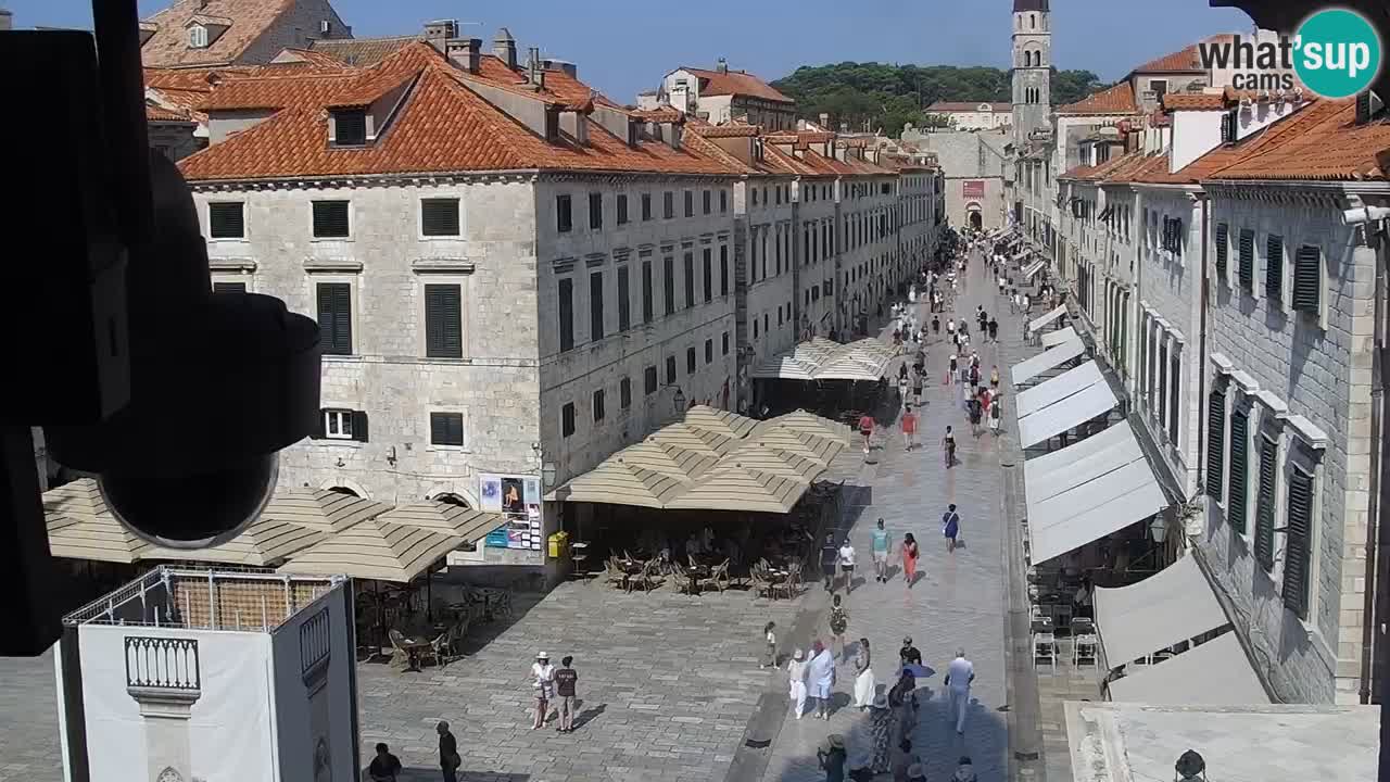 Camera en vivo Dubrovnik Stradun