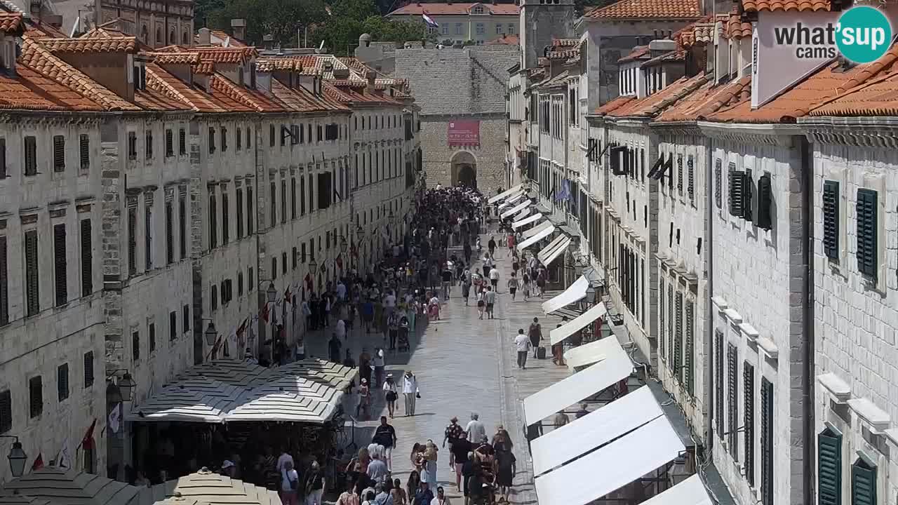 Livecam Dubrovnik Stradun