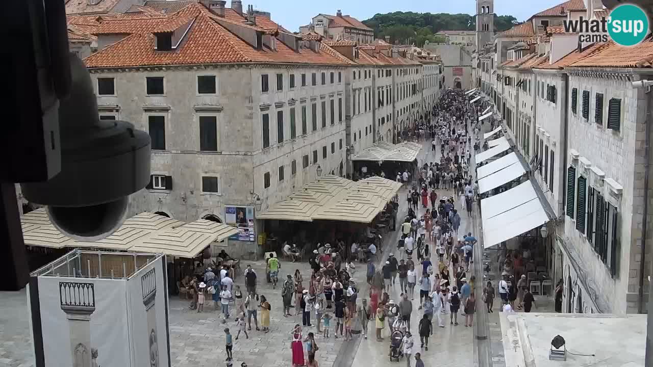Camera en vivo Dubrovnik Stradun