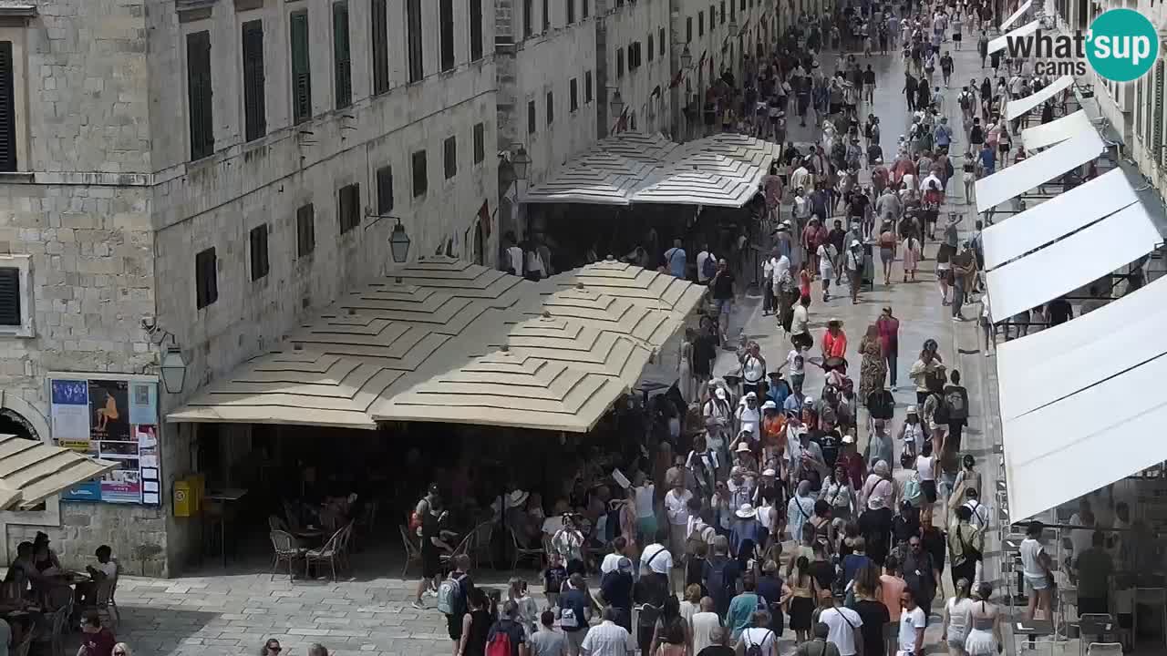 Live Webcam Dubrovnik Stradun