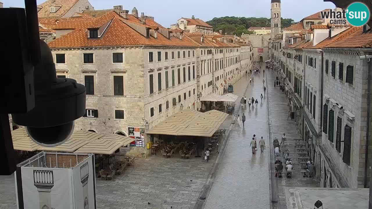 Livecam Dubrovnik Stradun