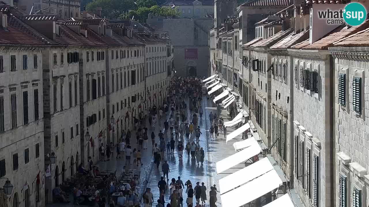 Livecam Dubrovnik Stradun