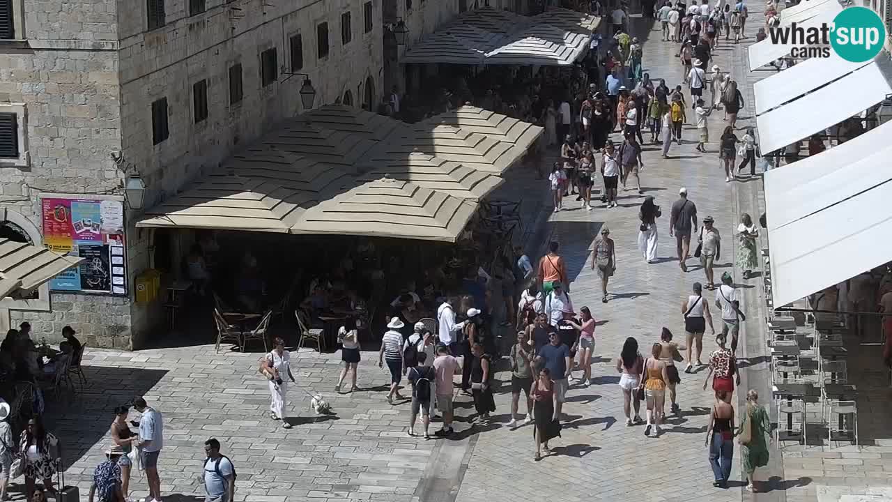 Livecam Dubrovnik Stradun