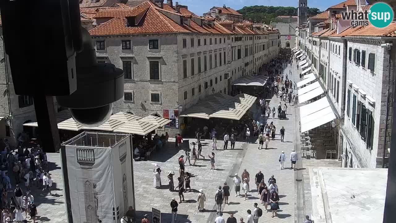 Livecam Dubrovnik Stradun