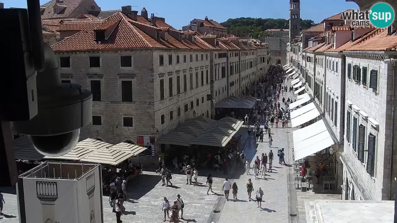 Webcam Ragusa (Dubrovnik) Stradun