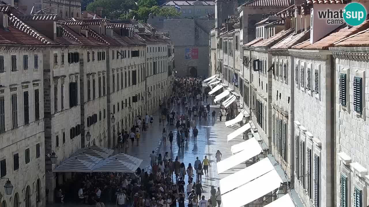 Livecam Dubrovnik Stradun