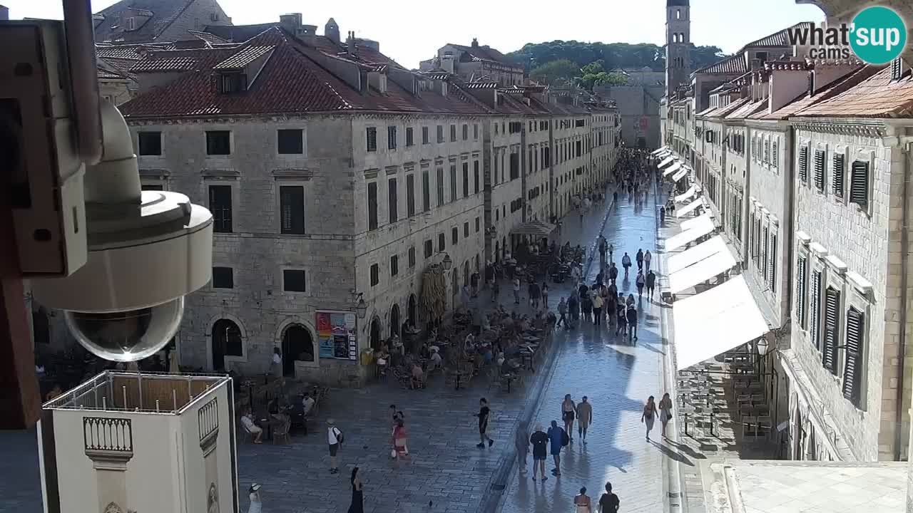 Camera en vivo Dubrovnik Stradun