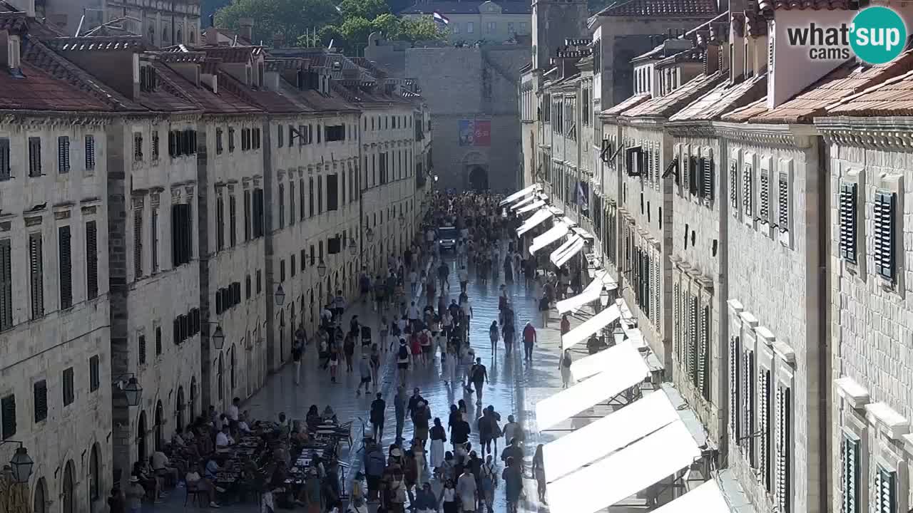 Livecam Dubrovnik Stradun