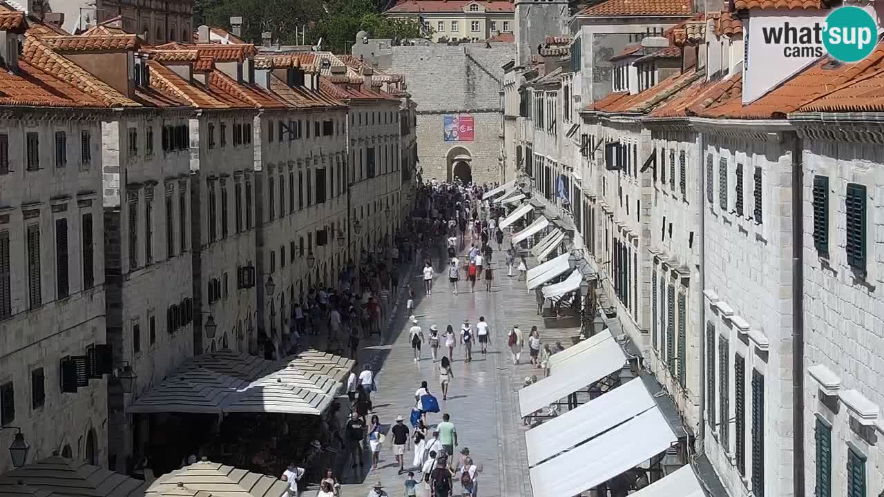 Livecam Dubrovnik Stradun