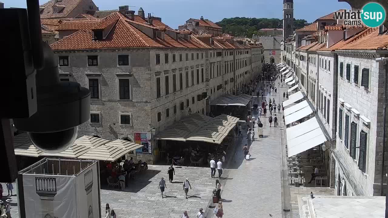 Livecam Dubrovnik Stradun