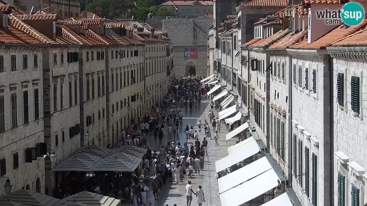 Webcam Ragusa (Dubrovnik) Stradun