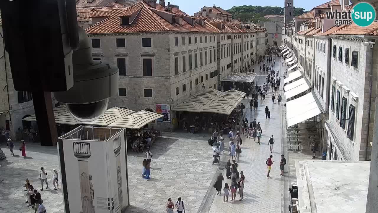 Livecam Dubrovnik Stradun