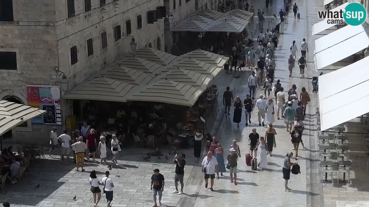Camera en vivo Dubrovnik Stradun