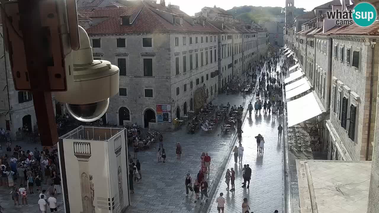 Camera en vivo Dubrovnik Stradun