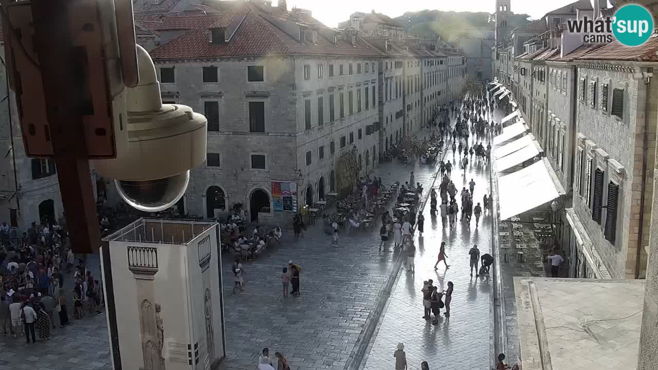 Camera en vivo Dubrovnik Stradun