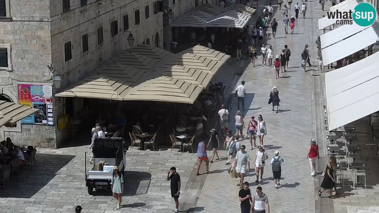 Camera en vivo Dubrovnik Stradun