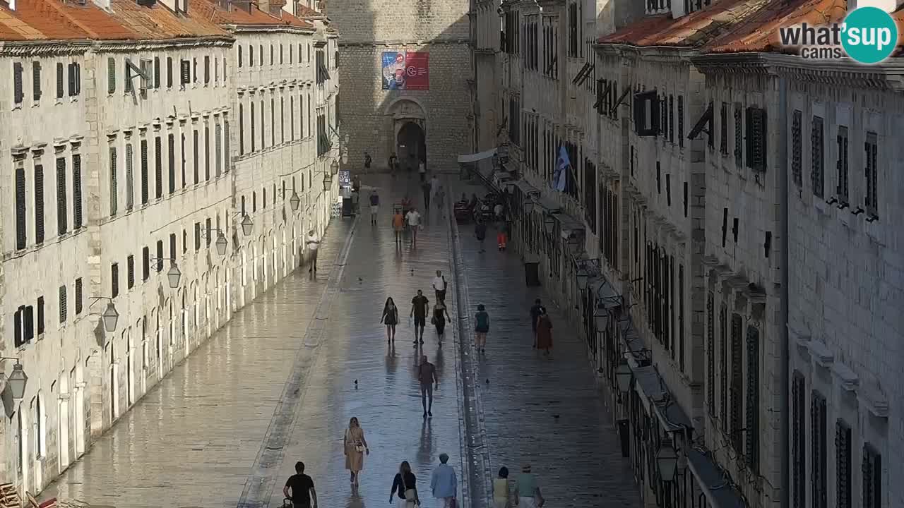 Livecam Dubrovnik Stradun