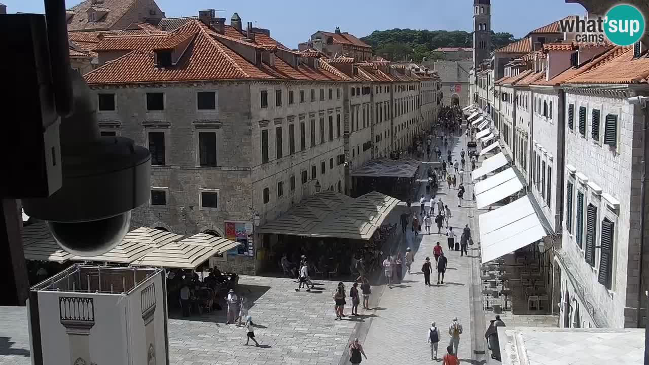 Kamera v živo Dubrovnik Stradun / Placa