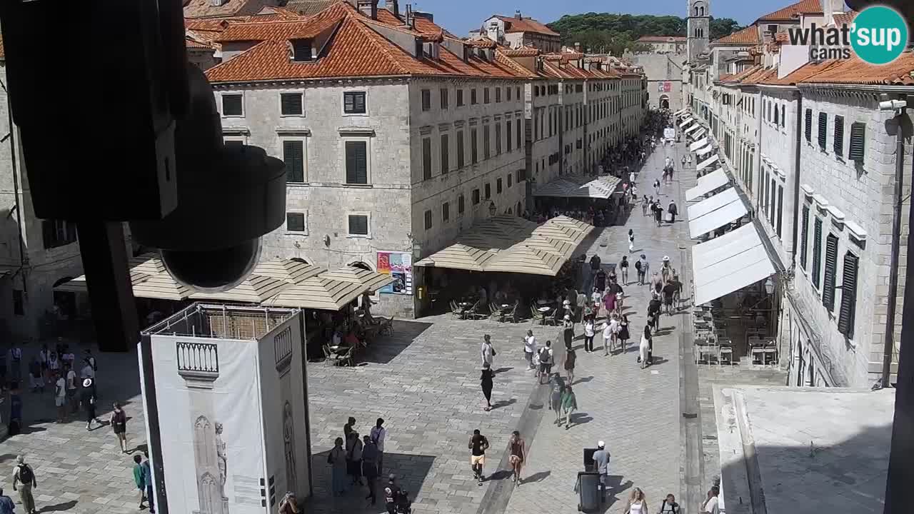 Kamera v živo Dubrovnik Stradun / Placa