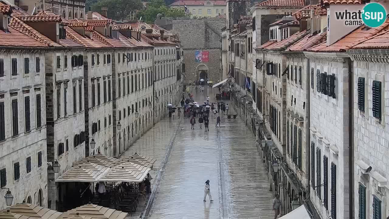 Live Webcam Dubrovnik Stradun