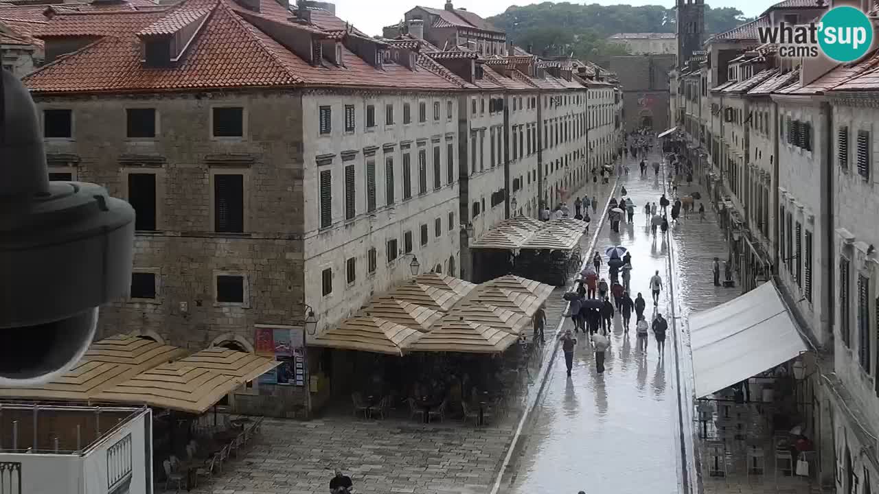 Camera en vivo Dubrovnik Stradun