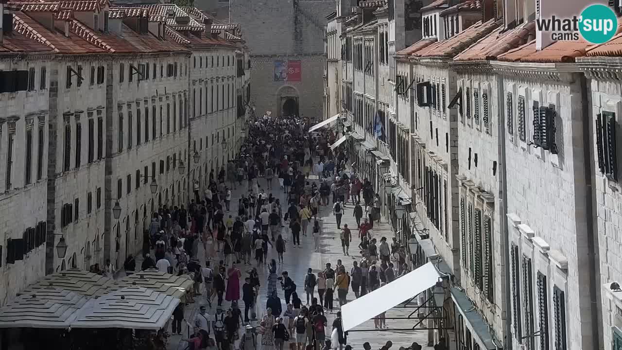 Camera en vivo Dubrovnik Stradun