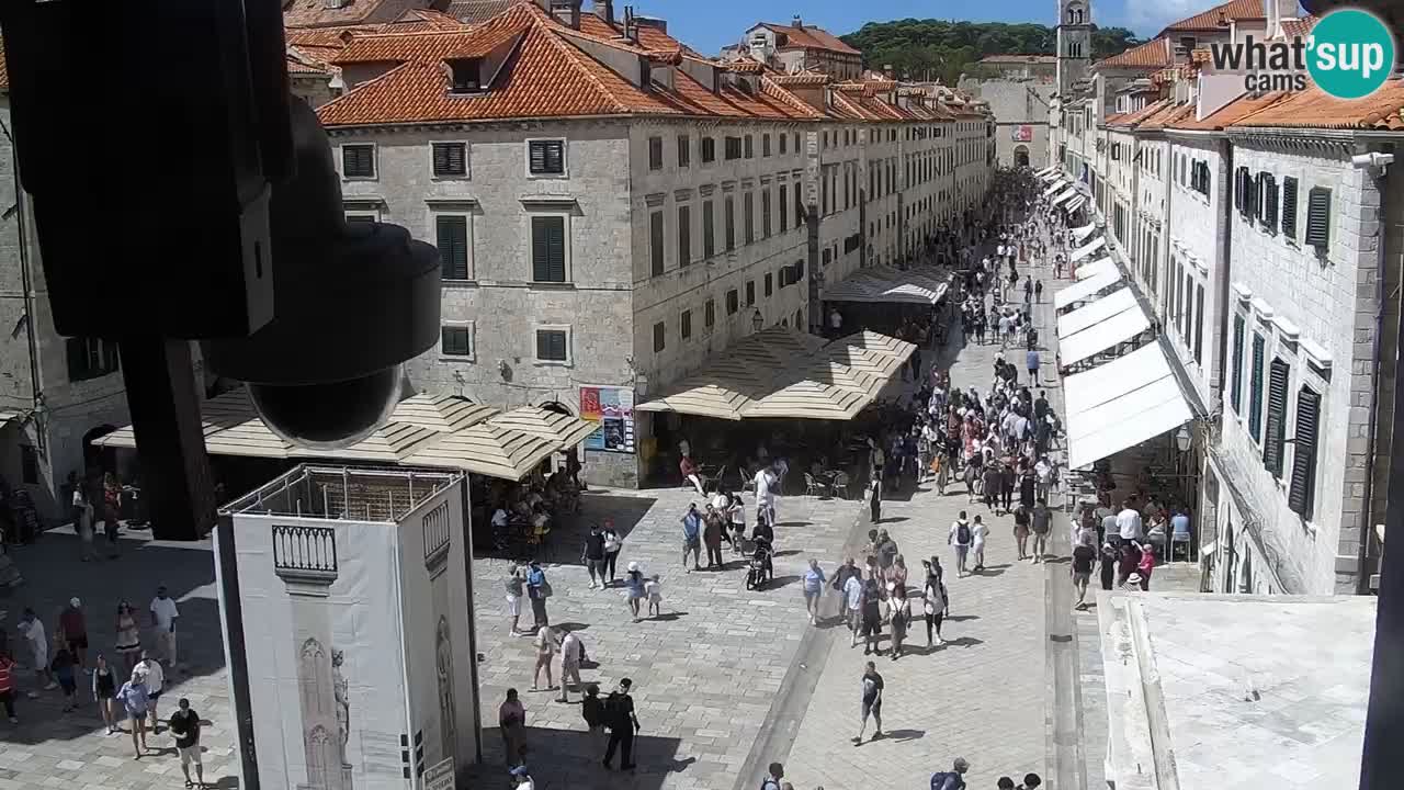 Live Webcam Dubrovnik Stradun