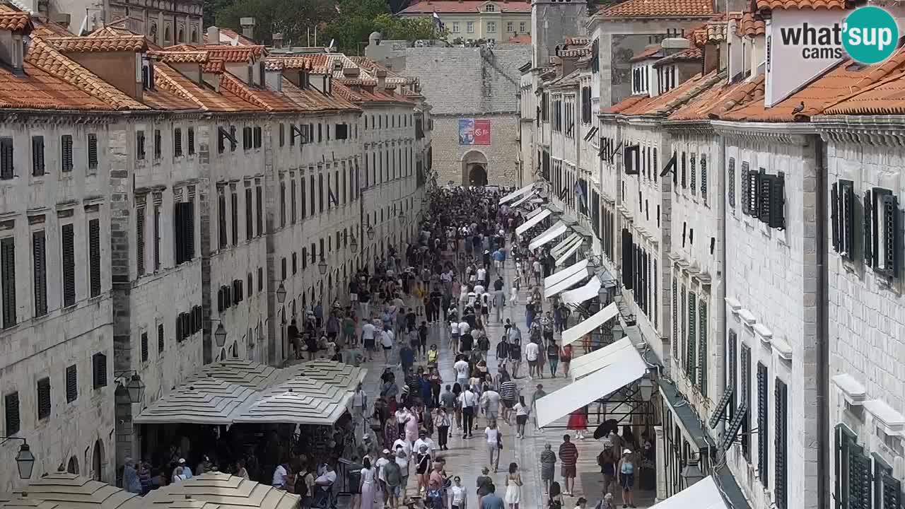 Live Webcam Dubrovnik Stradun