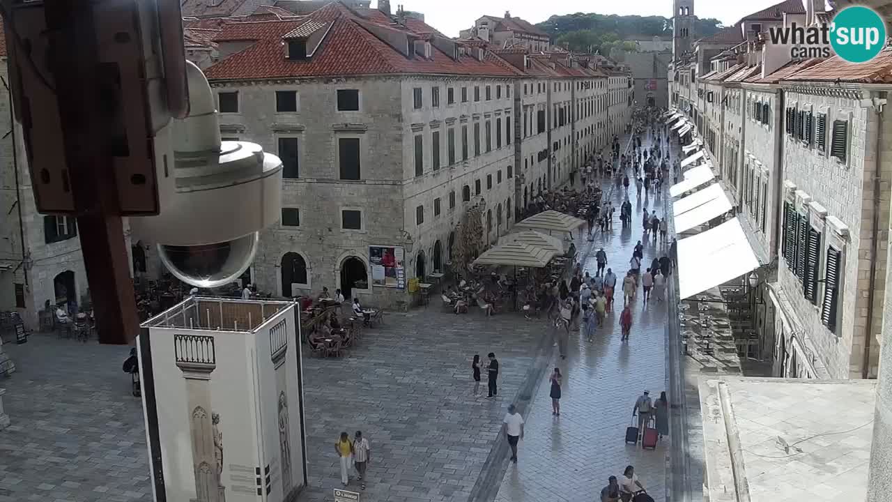 Livecam Dubrovnik Stradun