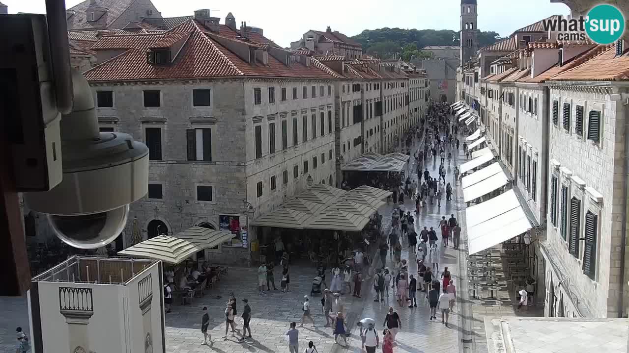 Live Webcam Dubrovnik Stradun