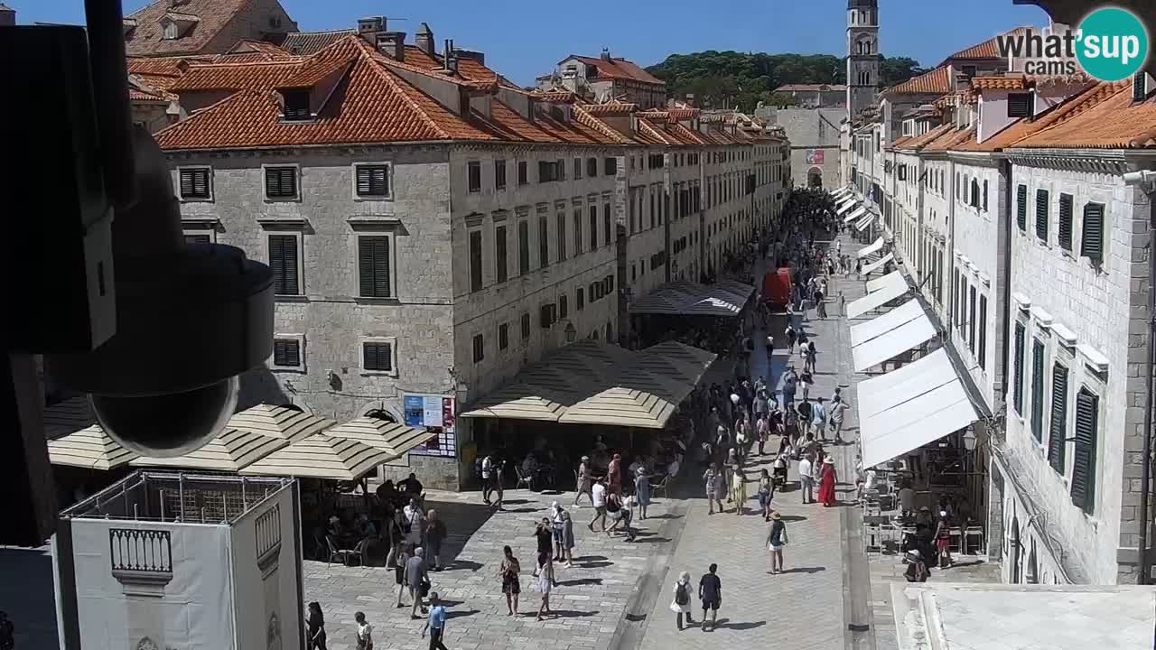 Livecam Dubrovnik Stradun