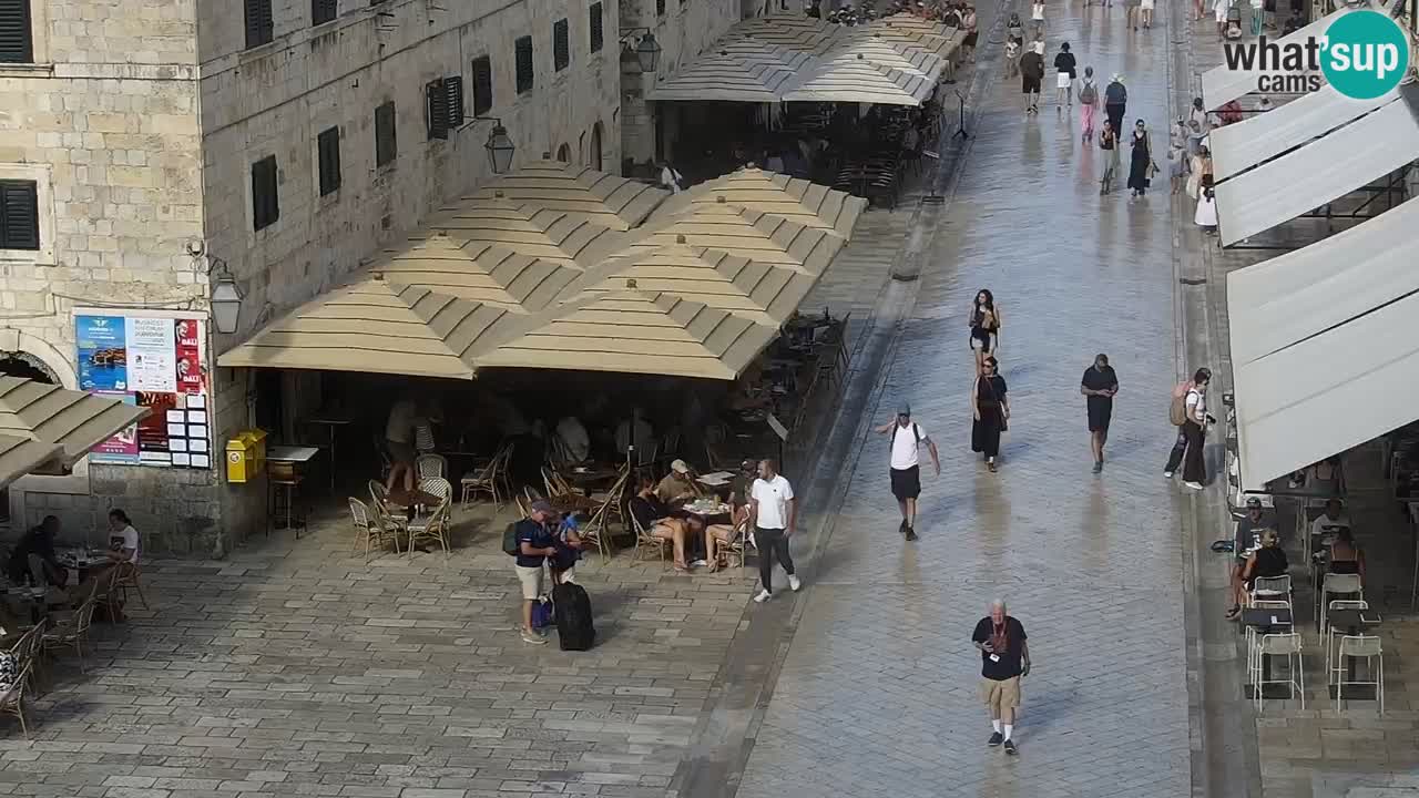 Camera en vivo Dubrovnik Stradun