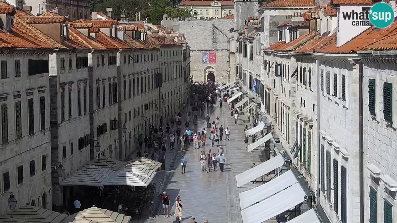Livecam Dubrovnik Stradun
