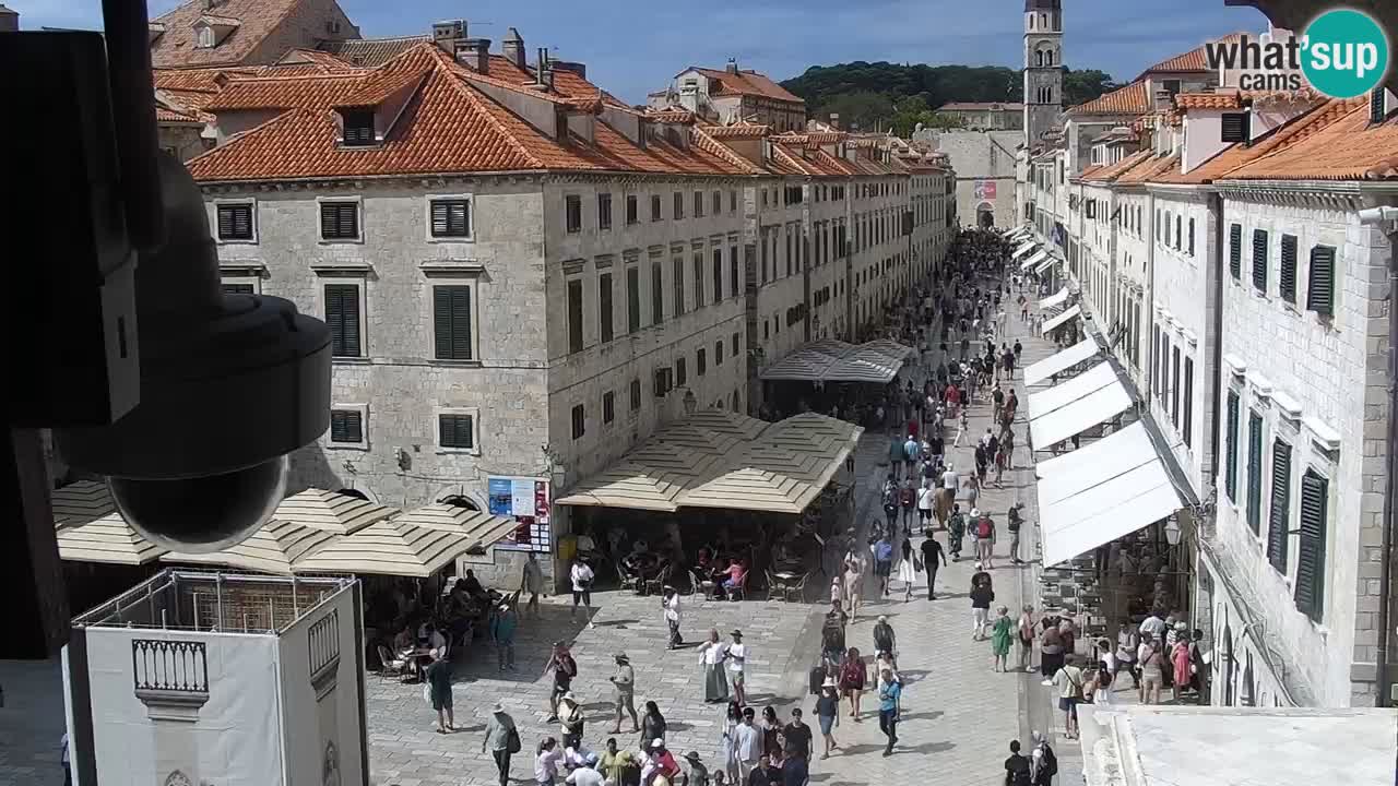 Camera en vivo Dubrovnik Stradun