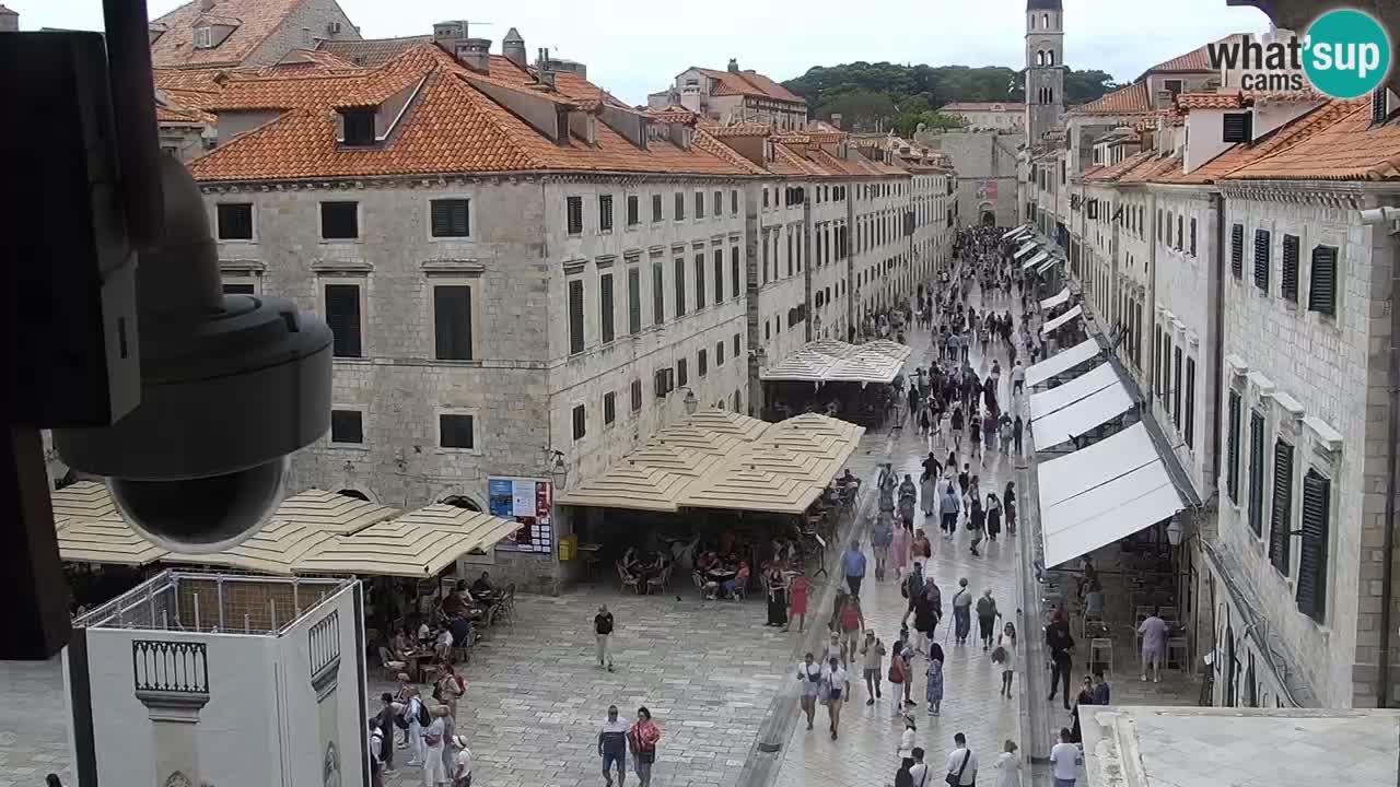 Live Webcam Dubrovnik Stradun