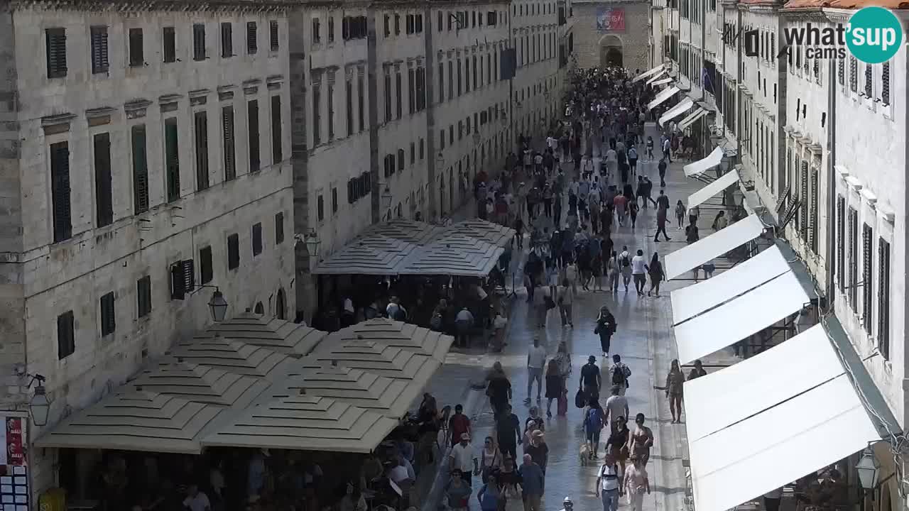 Live Webcam Dubrovnik Stradun