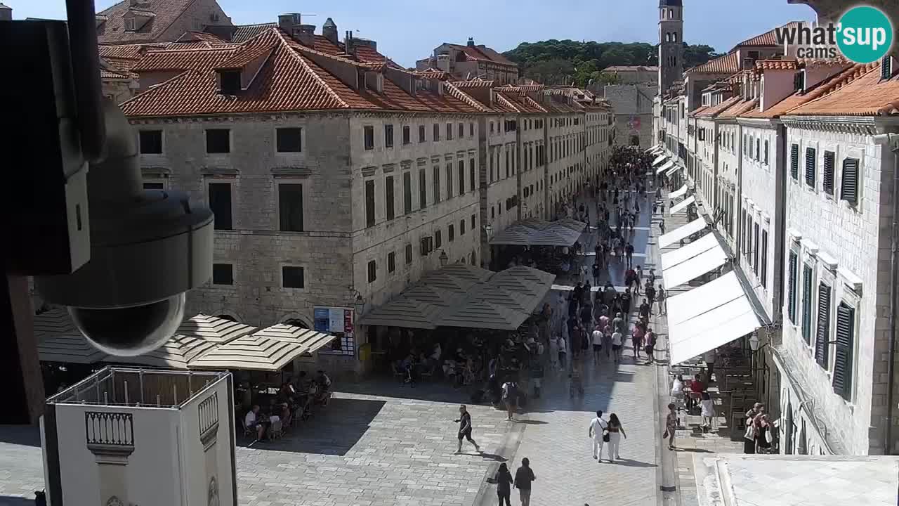 Livecam Dubrovnik Stradun