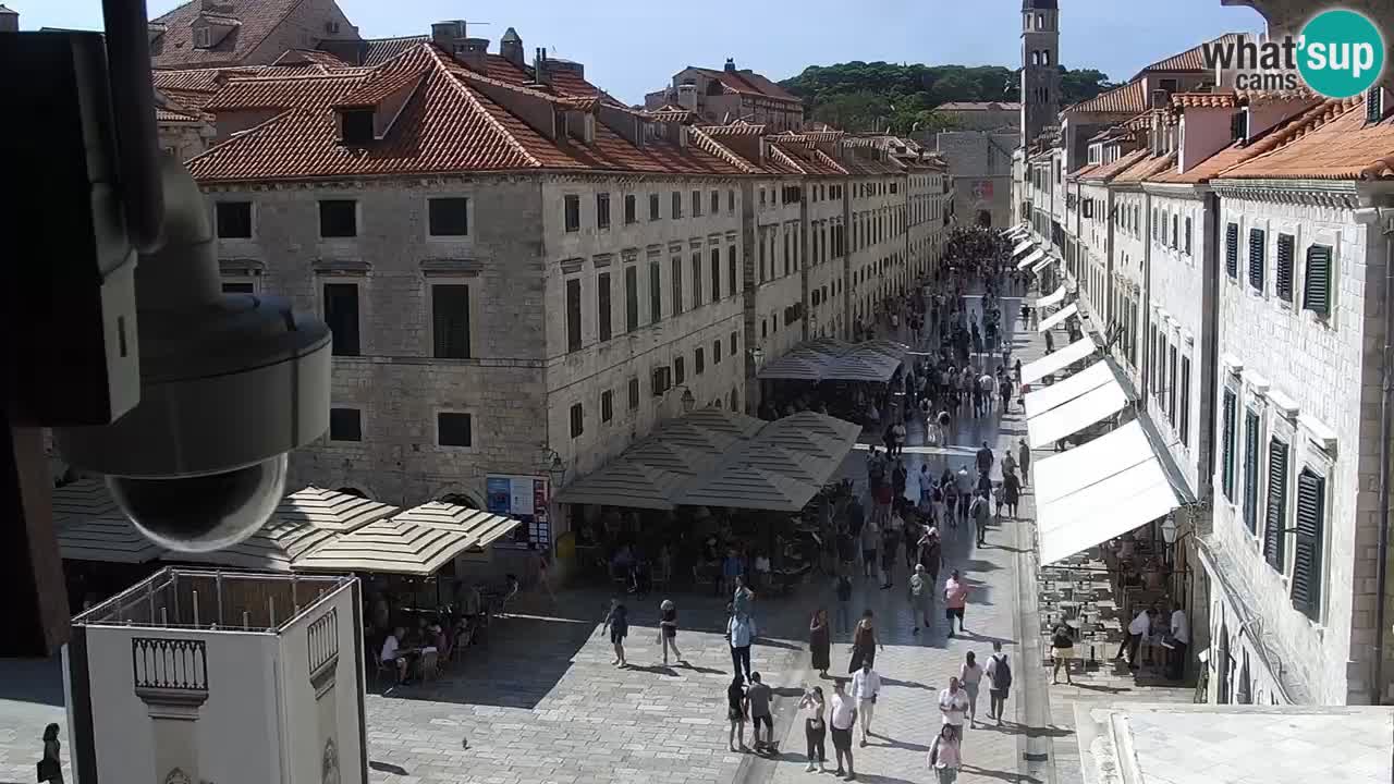 Livecam Dubrovnik Stradun