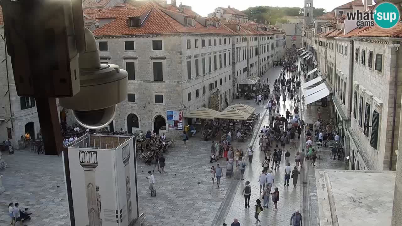 Live Webcam Dubrovnik Stradun