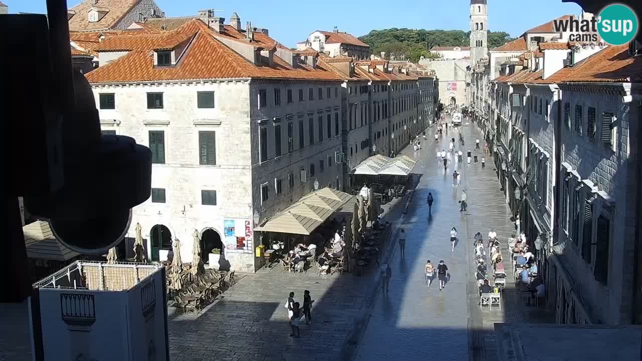 Live Webcam Dubrovnik Stradun