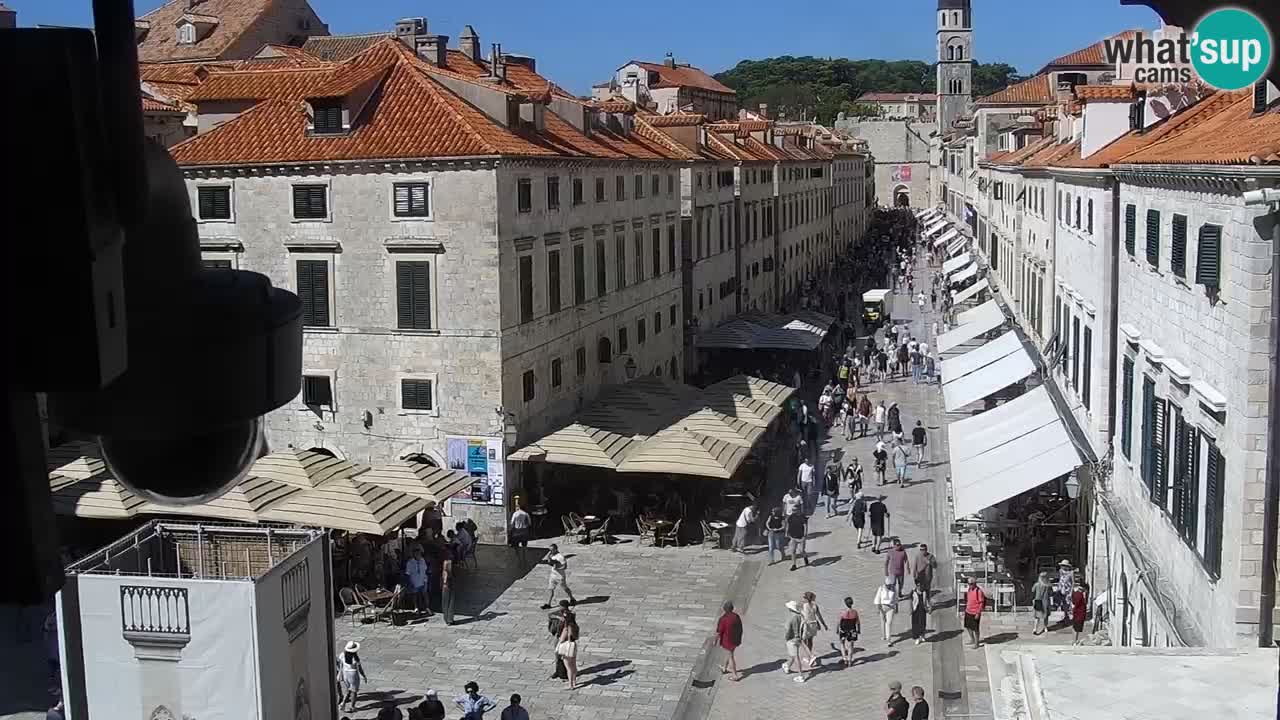 Livecam Dubrovnik Stradun
