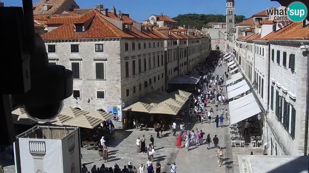 Camera en vivo Dubrovnik Stradun