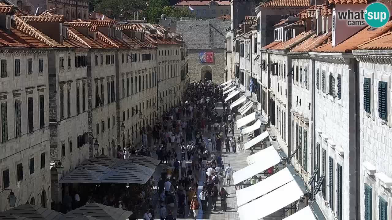 Live Webcam Dubrovnik Stradun