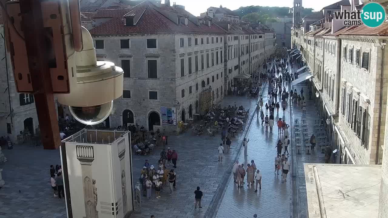 Live Webcam Dubrovnik Stradun
