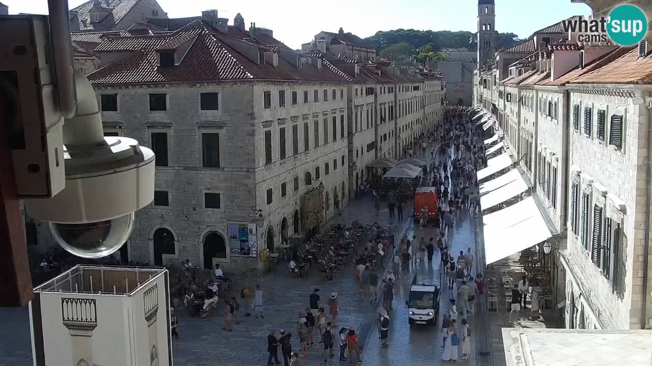 Camera en vivo Dubrovnik Stradun