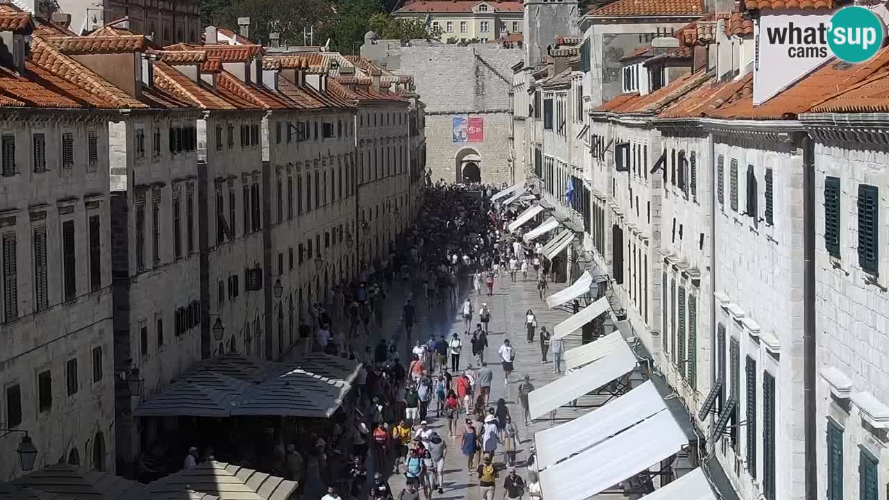 Live Webcam Dubrovnik Stradun
