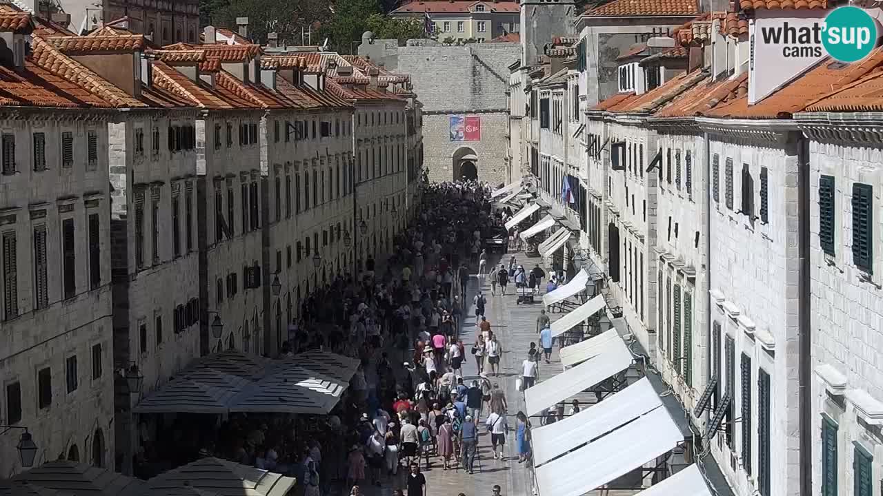 Camera en vivo Dubrovnik Stradun