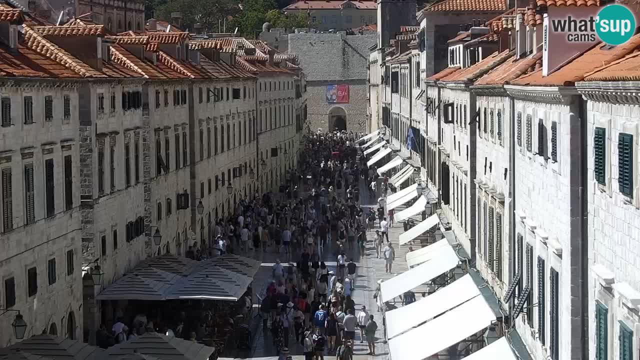 Live Webcam Dubrovnik Stradun